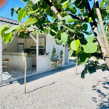 Airport Blue Eye Apartment Dalaman Best Location Also Suitable For Day Rentals Ideal For Air Travelers, 5 Km Close To Airport Exteriér fotografie
